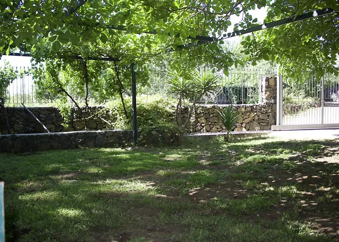 Domus Vini