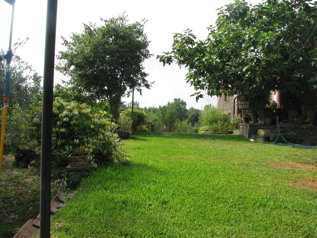 Domus Vini Holiday home