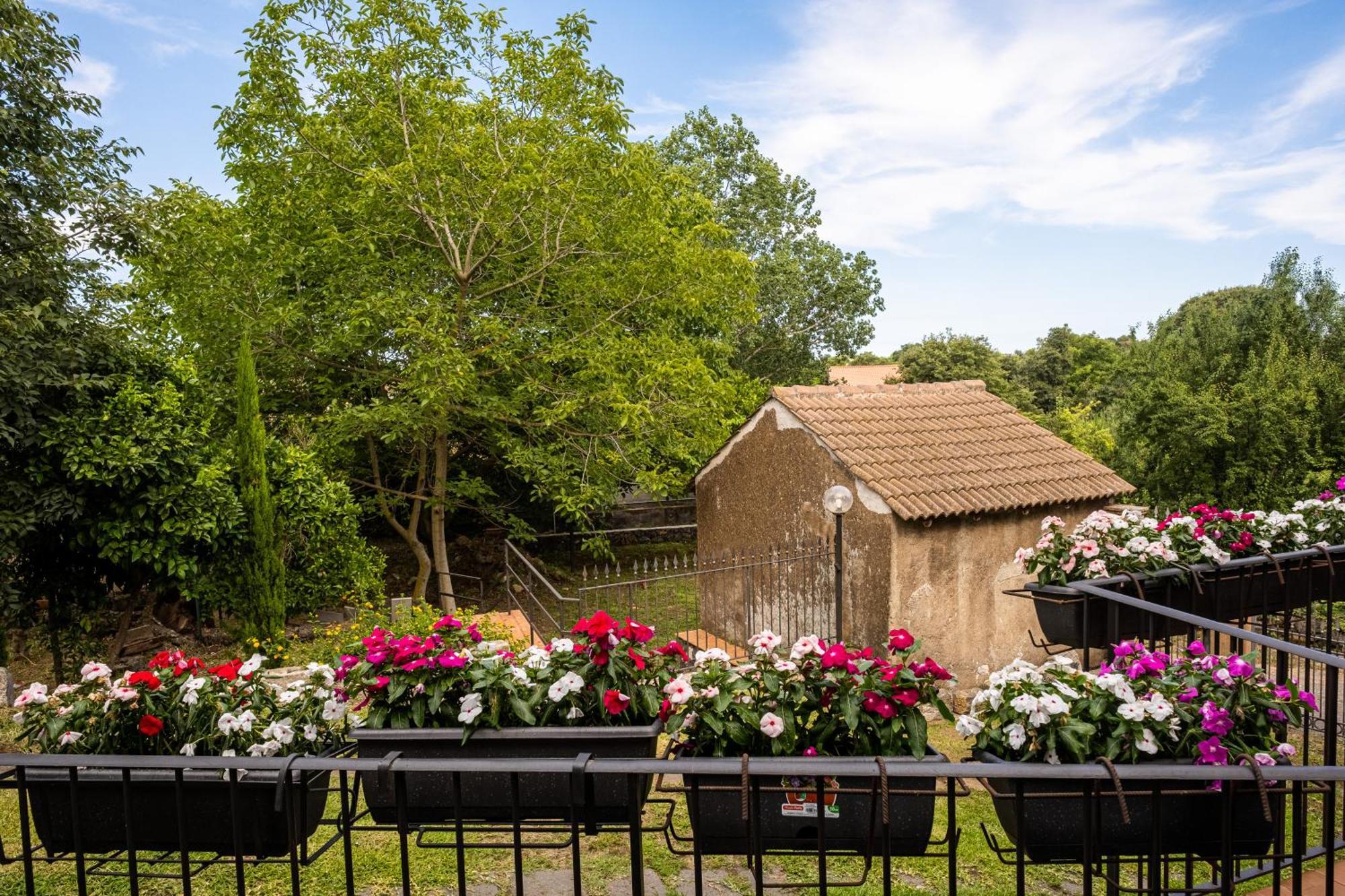 Holiday home Domus Vini *