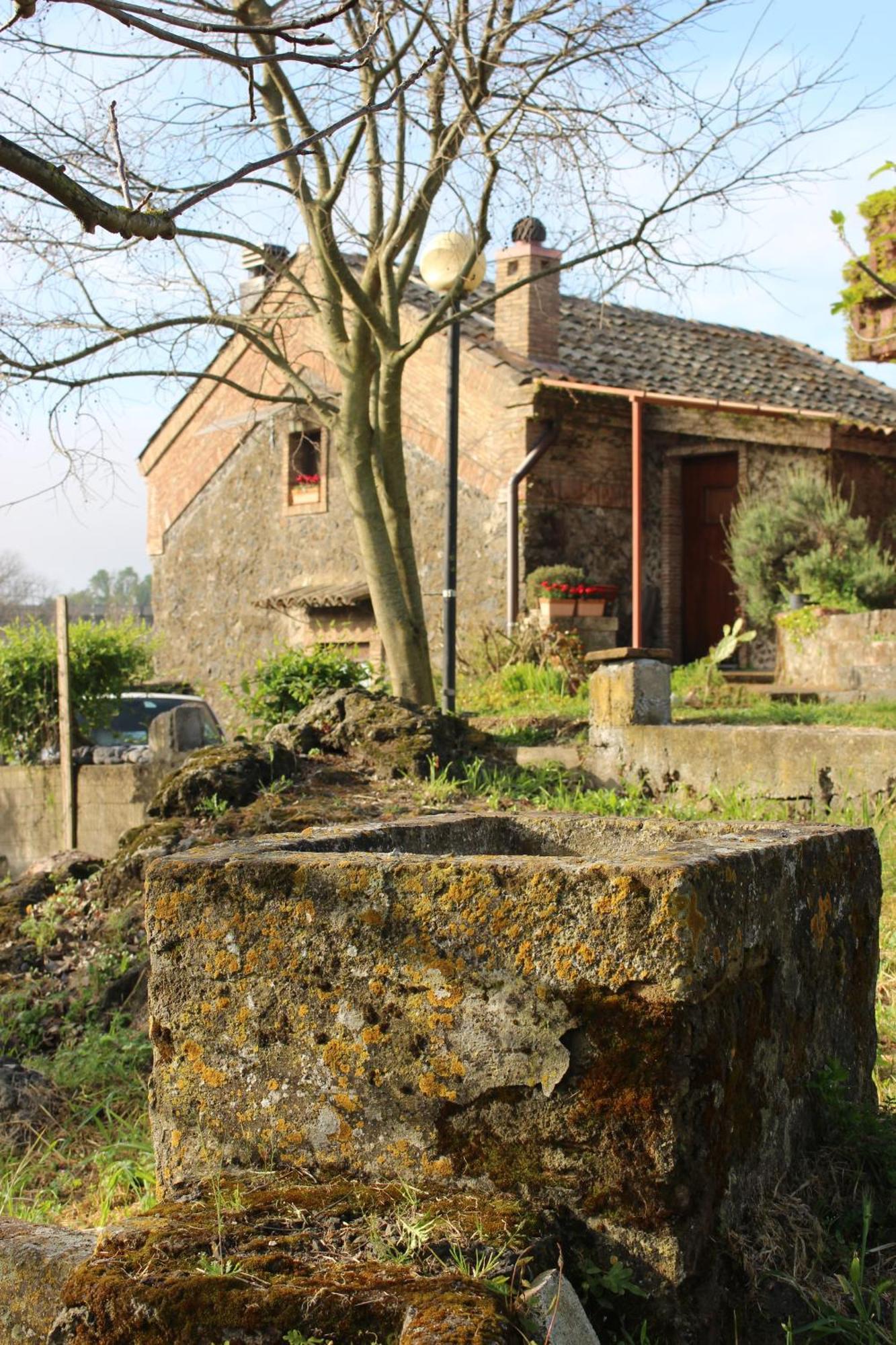 Holiday home Domus Vini *
