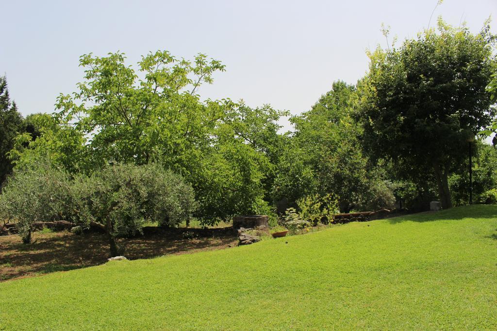 Domus Vini Holiday home San Giovanni La Punta