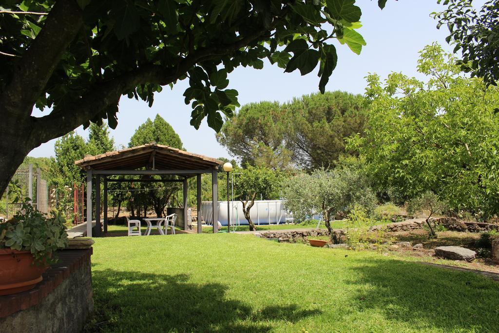 Holiday home Domus Vini San Giovanni La Punta
